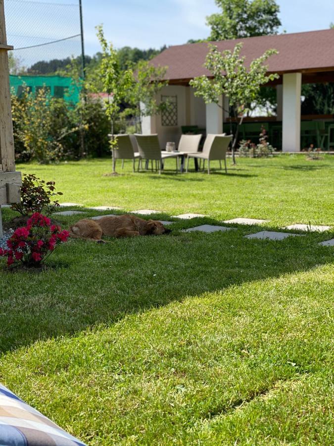 Anahouse Hotel Viseu de Sus Exterior photo