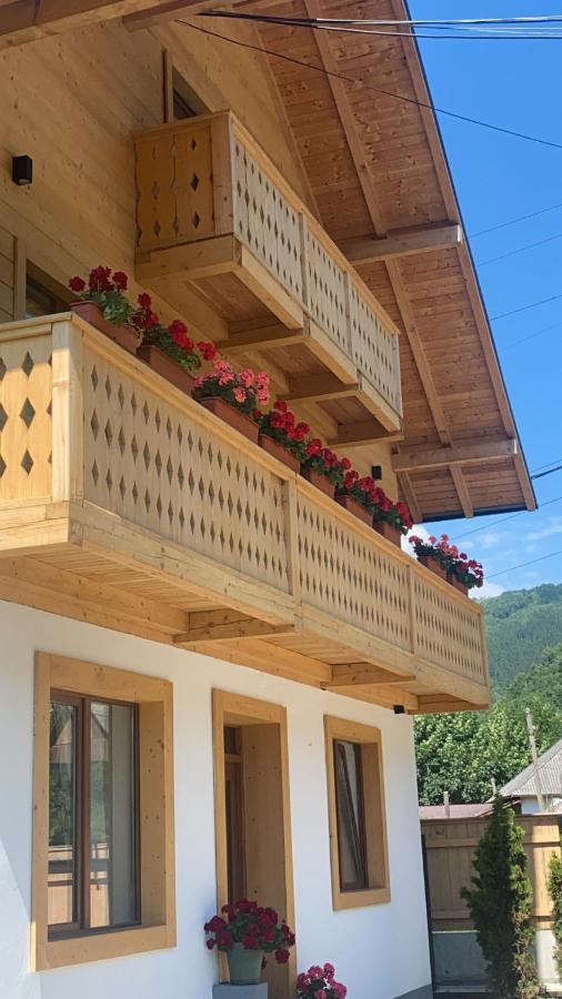 Anahouse Hotel Viseu de Sus Exterior photo
